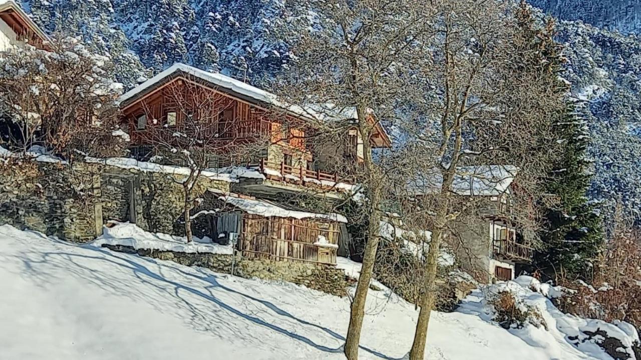 Eco Chalet Maison Dominique Challand-Saint-Anselme Kültér fotó