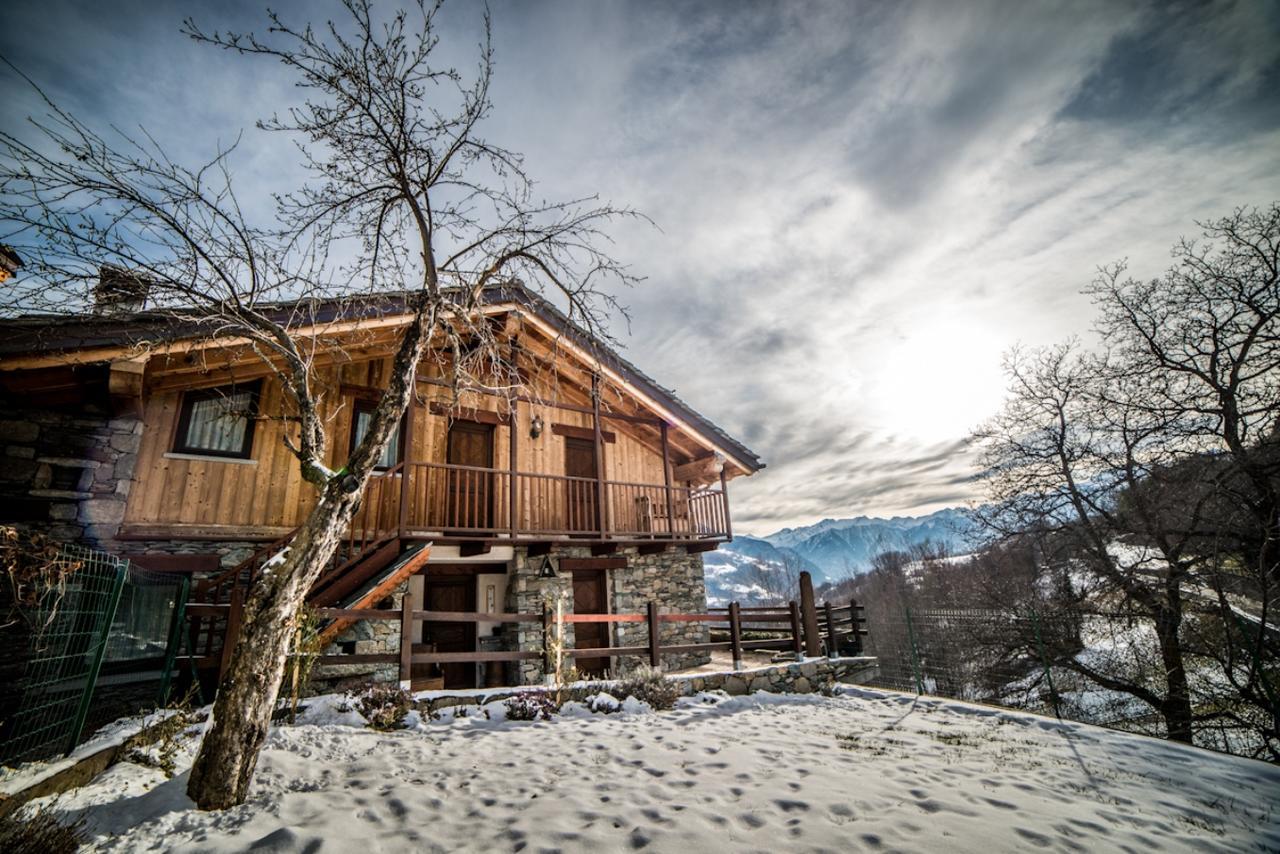 Eco Chalet Maison Dominique Challand-Saint-Anselme Kültér fotó